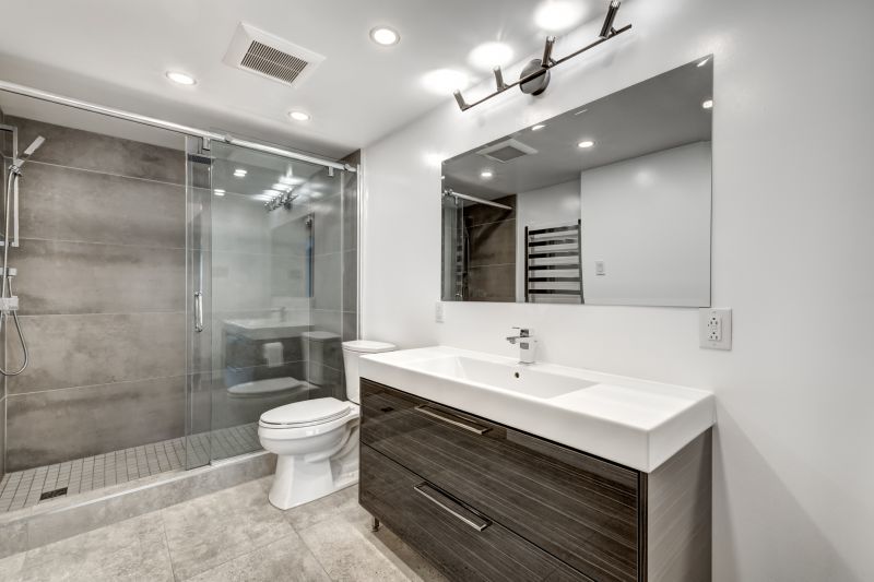 Compact Shower and Vanity